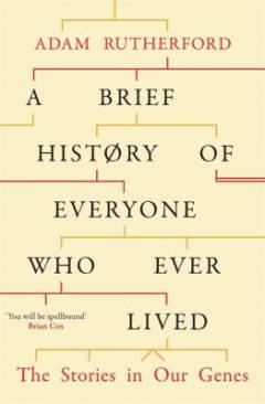 A brief history of everyone who ever lived : the stories in our genes