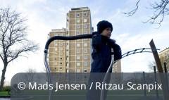 Social arv og udstødelse