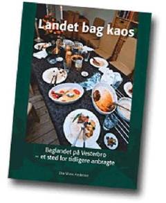 Landet bag kaos : Baglandet på Vesterbro - et sted for tidligere anbragte