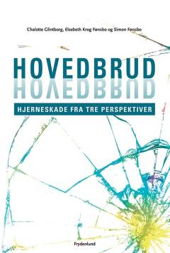 Hovedbrud : hjerneskade fra tre perspektiver