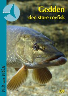 Gedden - den store rovfisk