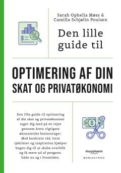 Den lille guide til optimering af din skat og privatøkonomi