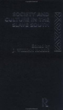 Society and culture in the slave south