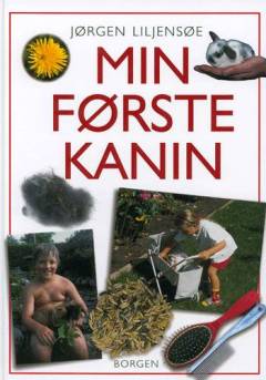 Min første kanin