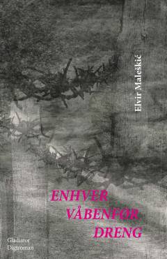 Enhver våbenfør dreng : digtroman