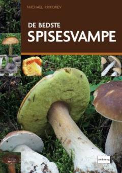 De bedste spisesvampe