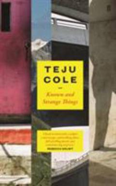 Known and strange things : essays