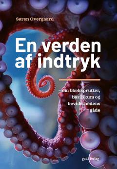 En verden af indtryk : om blæksprutter, basilikum og bevidsthedens gåde