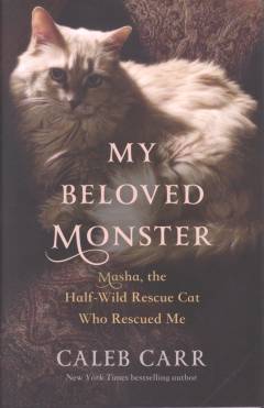 My beloved monster : Masha, the half-wild rescue cat who rescued me