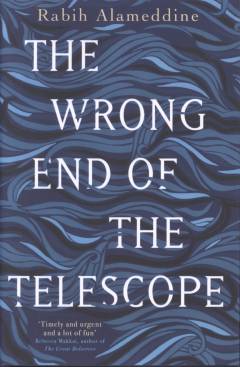 The wrong end of the telescope