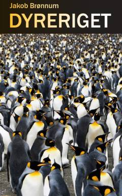 Bog, 1. udgave, 2022