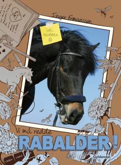 Bog, 1. udgave, 2013