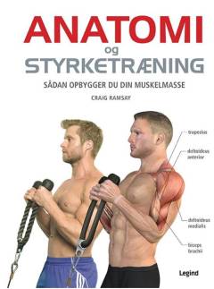 Anatomi og styrketræning : sådan opbygger du din muskelmasse