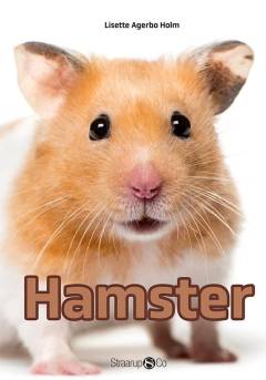 Hamster