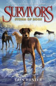 Survivors - storm of dogs