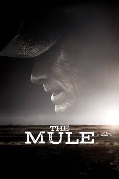 The mule