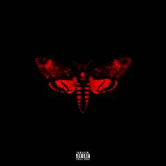 I am not a human being II