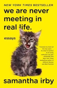 We are never meeting in real life : essays