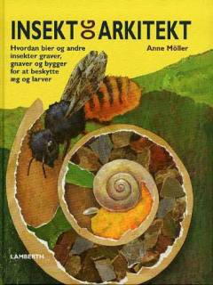 Insekt & arkitekt : hvordan bier og andre insekter graver, gnaver og bygger for at beskytte æg og larver