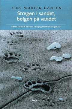 Stregen i sandet, bølgen på vandet : Stenos teori om naturens sprog og erkendelsens grænser