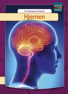 Bog, 1. udgave, 2019