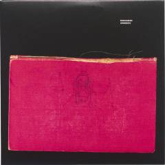 Amnesiac