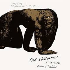 The Erstwhile : a novel
