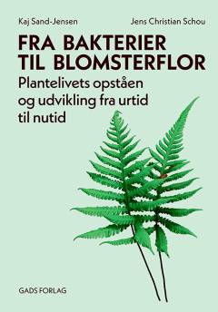 Fra bakterier til blomsterflor : plantelivets opståen og udvikling fra urtid til nutid