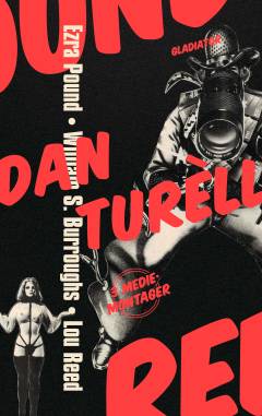 Ezra Pound, William S. Burroughs, Lou Reed : 3 mediemontager