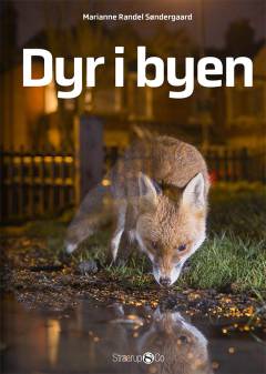 Dyr i byen