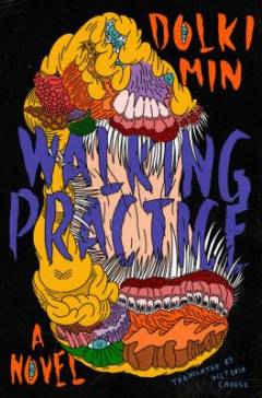 Walking practice : a novel