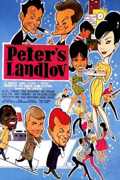 Film (dvd), 2005