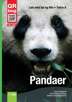 Pandaer