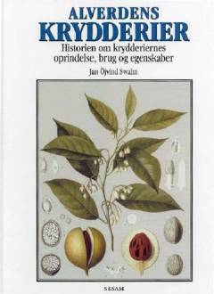 Bog, 1999