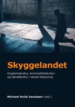 Skyggelandet : ungdomskultur, kriminalitetskultur og bandekultur i dansk belysning
