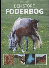 Bog, 1. udgave, 2004