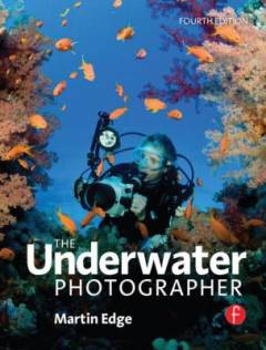 The underwater photographer