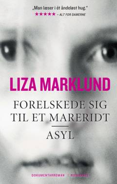 Forelskede sig til et mareridt: Asyl : dokumentarroman