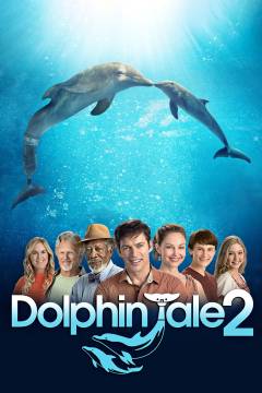 Dolphin tale 2