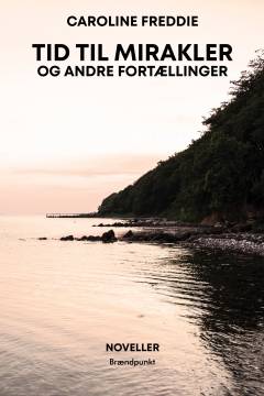 Tid til mirakler - og andre fortællinger : noveller