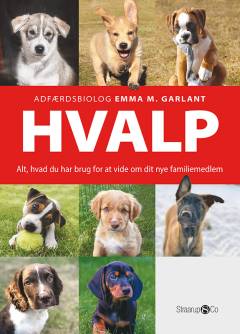 Hvalp : alt, hvad du har brug for at vide om dit nye familiemedlem