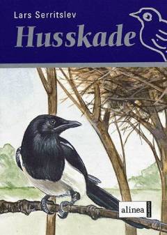 Husskade