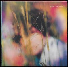 Sam Amidon