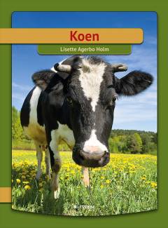 Koen