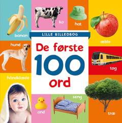 Lille billedbog - de første 100 ord