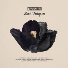 Sort tulipan