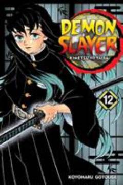 Demon slayer : Kimetsu no Yaiba. Volume 12