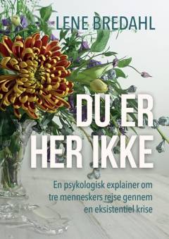 Du er her ikke : en psykologisk explainer om tre menneskers rejse gennem en eksistentiel krise