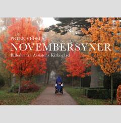 Novembersyner : billeder fra Assistens Kirkegård