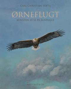 Ørneflugt : kunsten at se på rovfugle